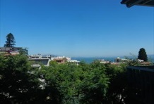 AMSI North Beach Russian Hill
